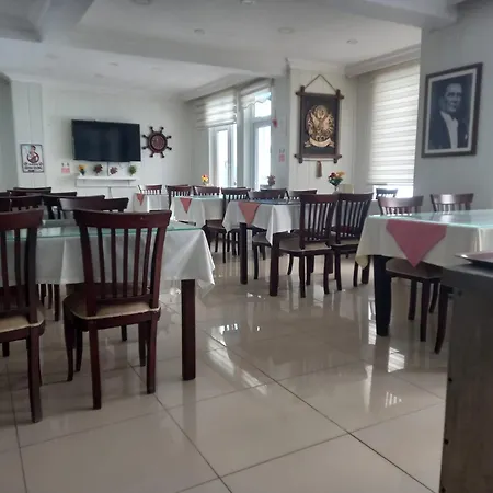 Vızyon Karasu